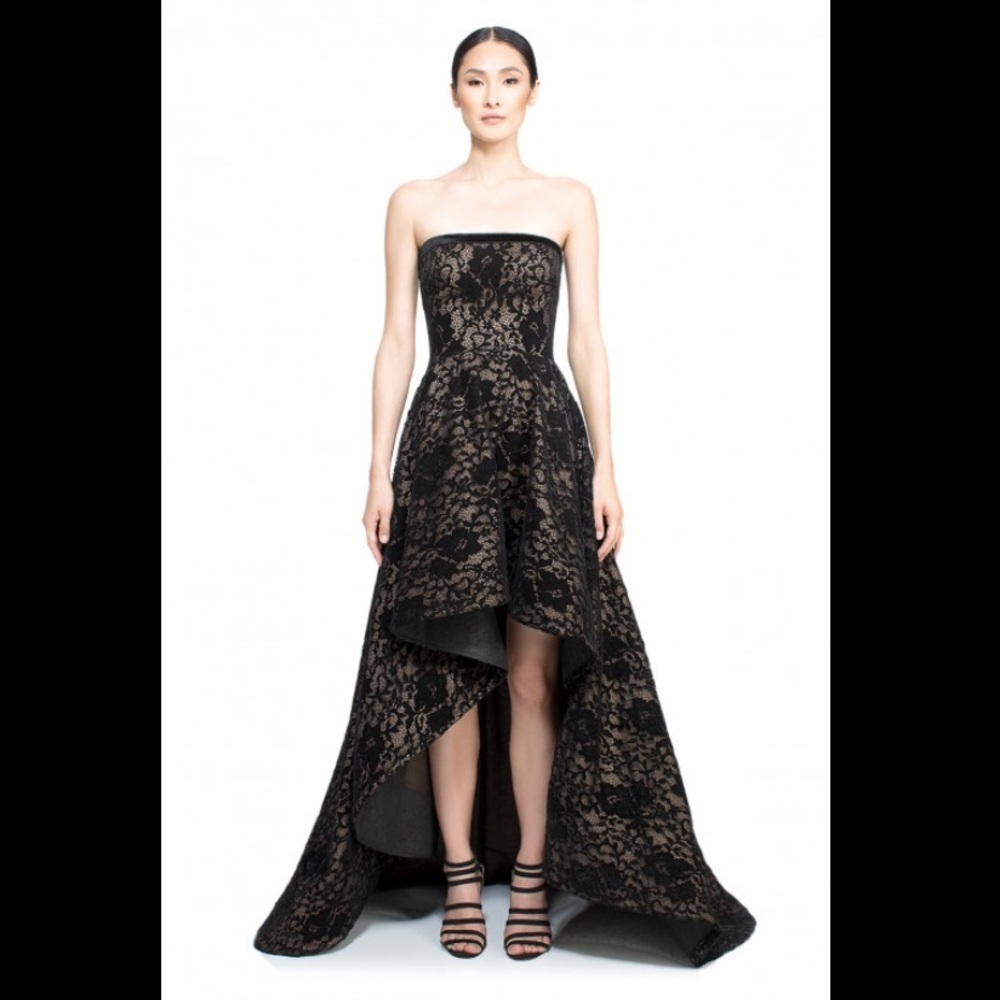 NWT Tadashi Shoji Demi High Low Velvet Gown
